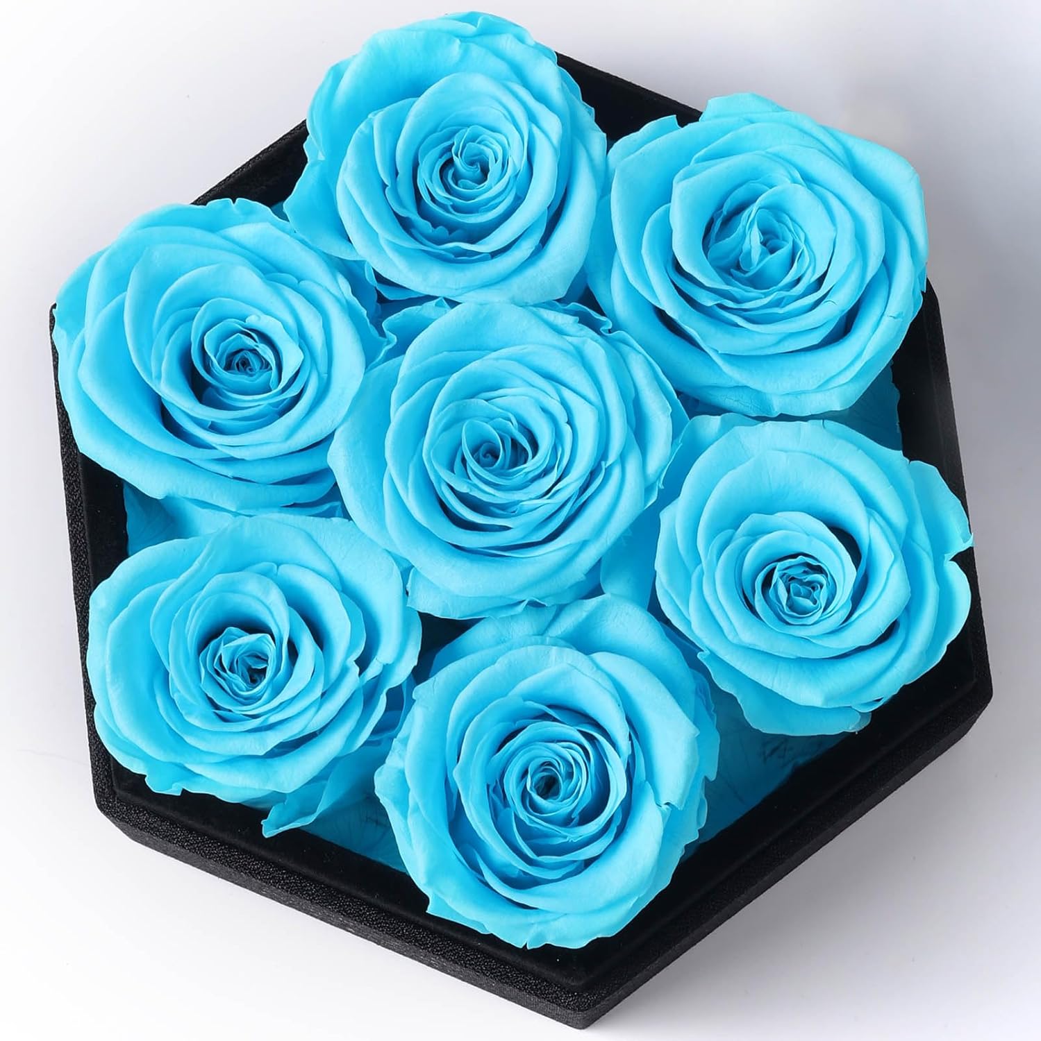 Kylin Glory Rosas preservadas con cubierta acrílica hexagonal, 7 piezas Forever Flowers, frescura visible, perfectas para regalos del día de la