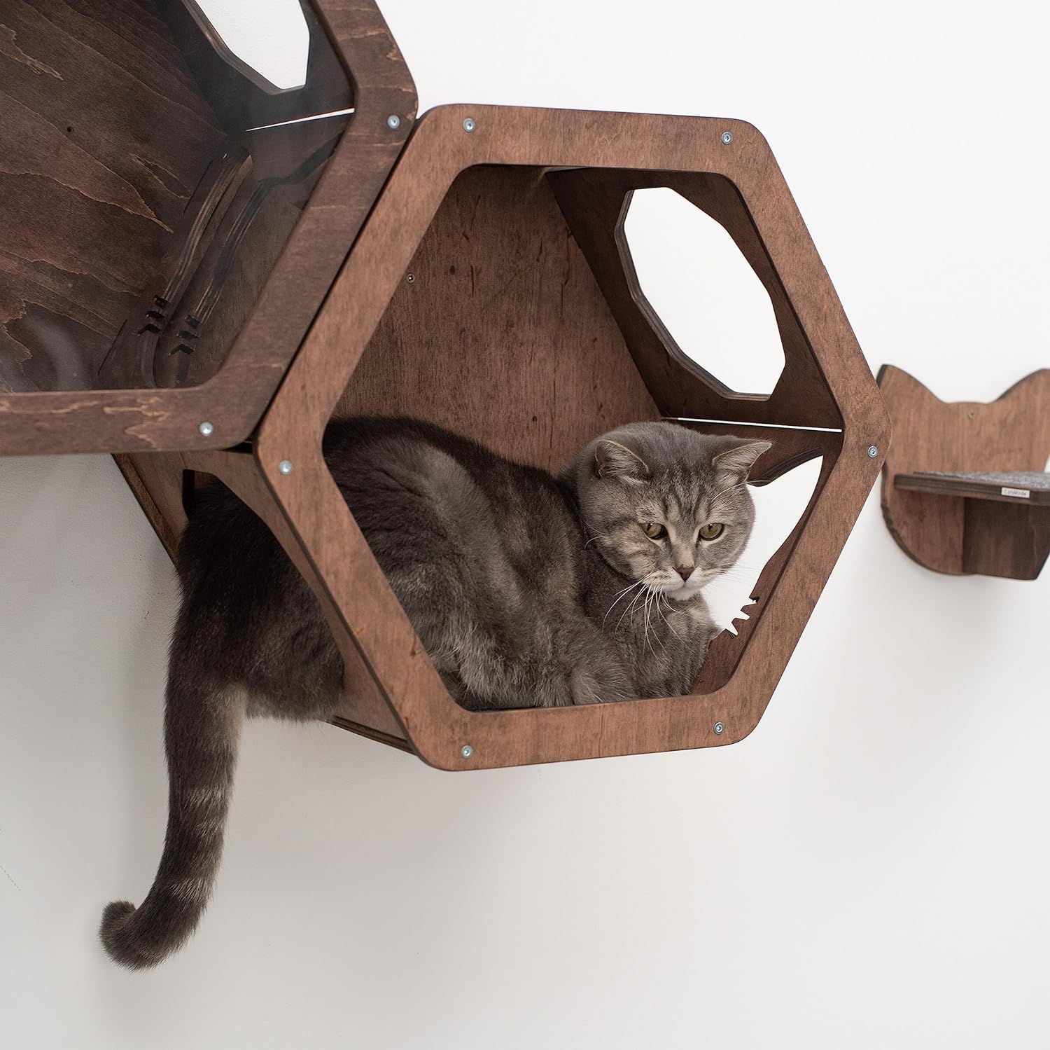 Wall Cat Shelves Wood Cat Wall Shelves Cat Furniture – Wooden Cat Shelf Wall Mounted Cat Wall Furniture – Indoor Cats Rustic Cat Decor Cat Lover