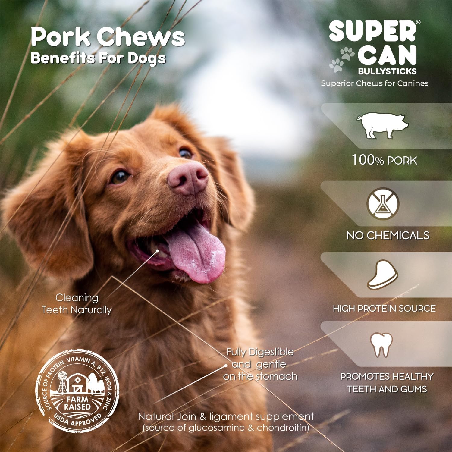 SUPER CAN BULLYSTICKS Supercan – Orejas de cerdo para perros (1 libra), golosinas naturales para perros, golosinas saludables para perros, astillas