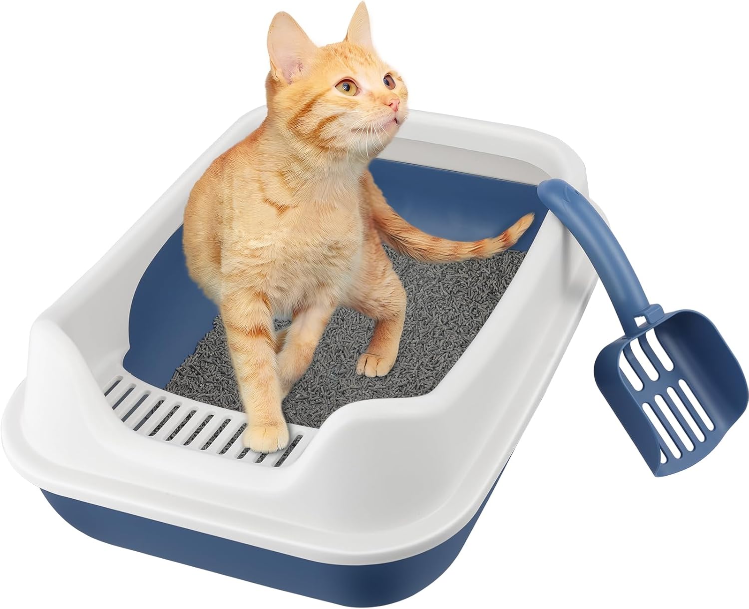 KittyClean – Caja de arena para gatos XL con estante de control, caja de arena XL para gatos grandes, caja de arena extragrande para varios gatos