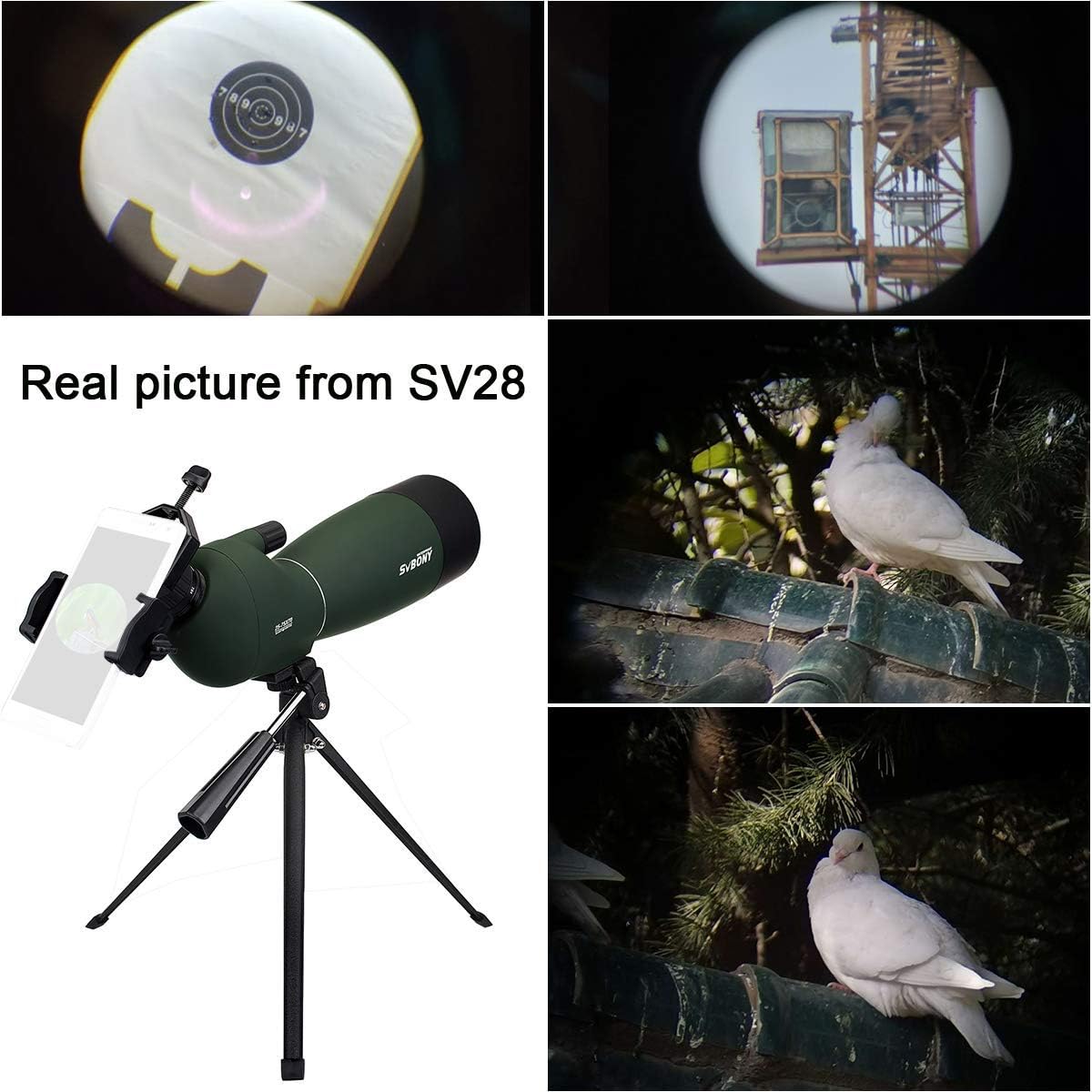SVBONY SV28 25-75×70 – Ámbitos de detección con trípode y SV46 20-60×80 HD de doble enfoque para observación de aves, caza, disparo al objetivo,