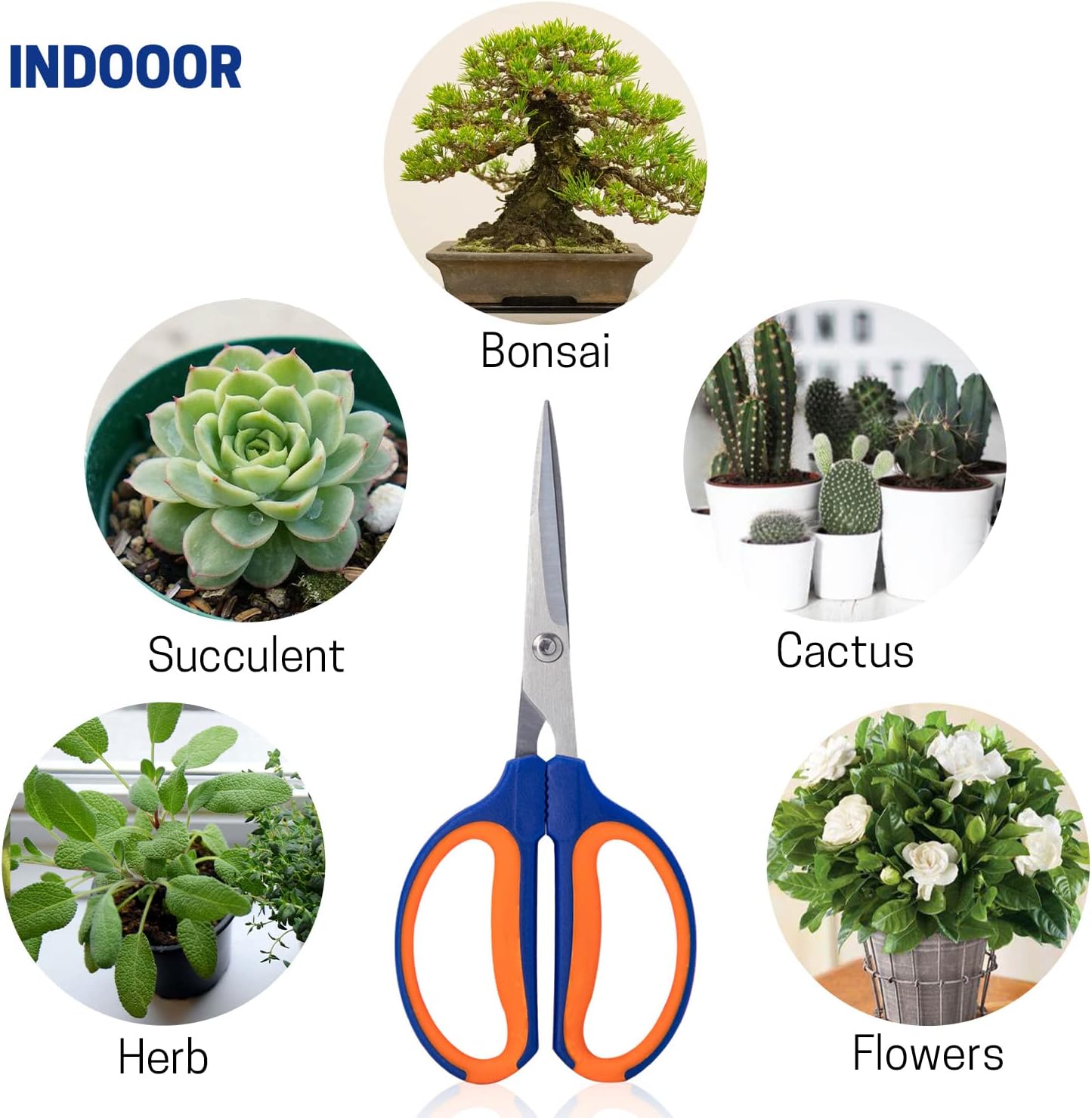 Tijeras de bonsái, cortadores de jardinería, tijeras afiladas para recortar plantas, tijeras de podar flores, herramientas de corte de rosas con