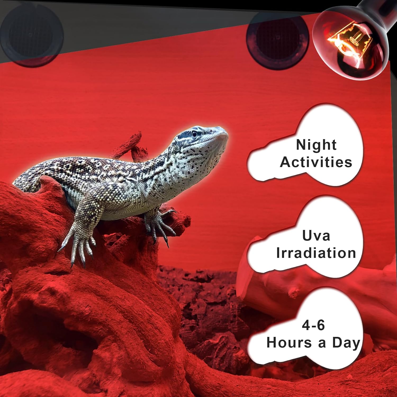 Cenipar Bombilla infrarroja de 75 W, ideal para una amplia variedad de reptiles, anfibios, lagartos, tortugas, serpientes y otros animales, juego de