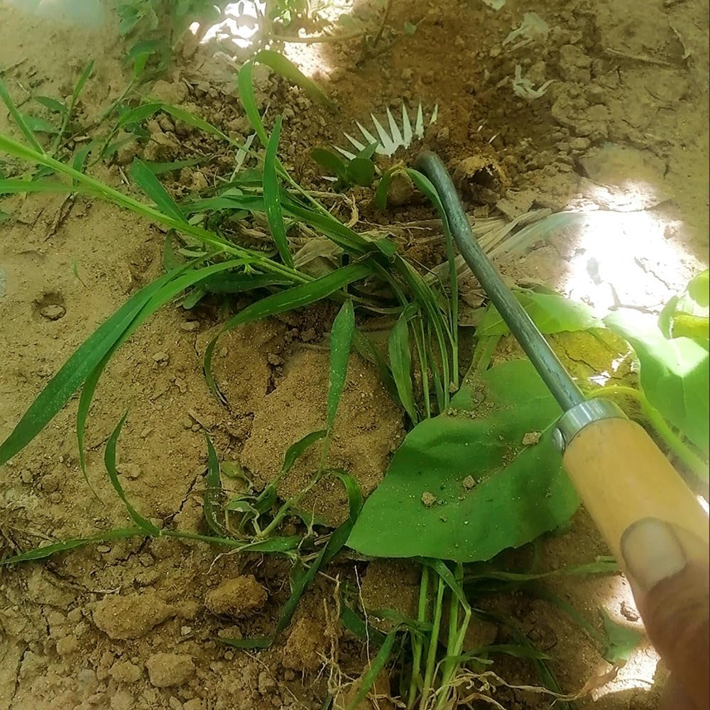 Herramienta de deshierbe de artefactos de deshierbe de desarraigo 2023, extractor de malezas forjado de acero al manganeso, 4 dientes, desmalezadora