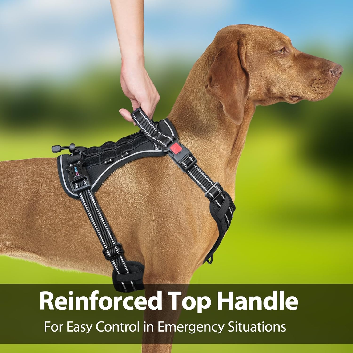 PHOEPET Arnés táctico sin tirones para perro, chaleco de servicio con paneles Molle y bucle, fácil control con asa para perros grandes (negro, XL)