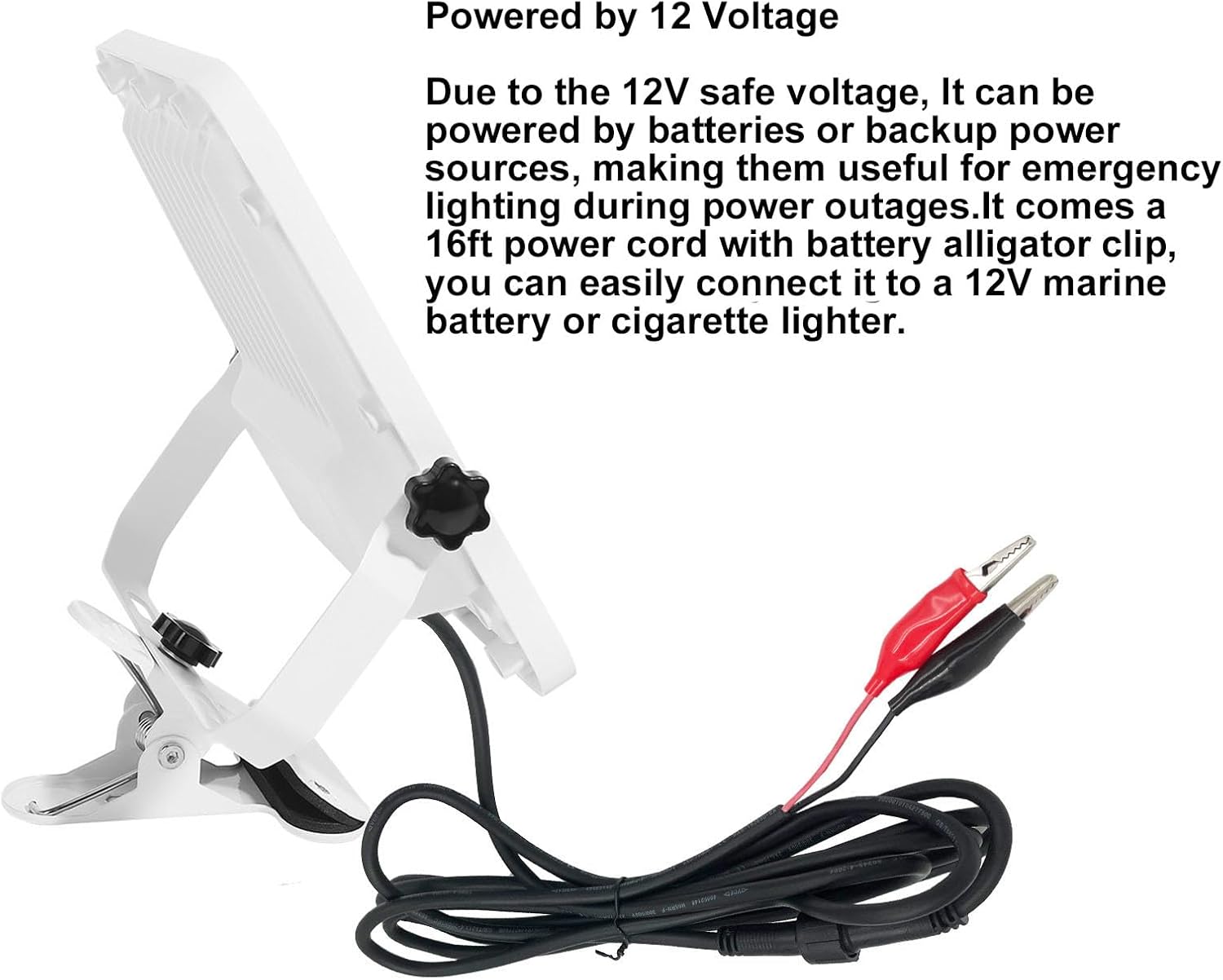Taysing Luces de inundación LED de 30 W, luz de trabajo con enchufe, impermeable, para exteriores, luces de paisaje, proyector para plantas, patio,