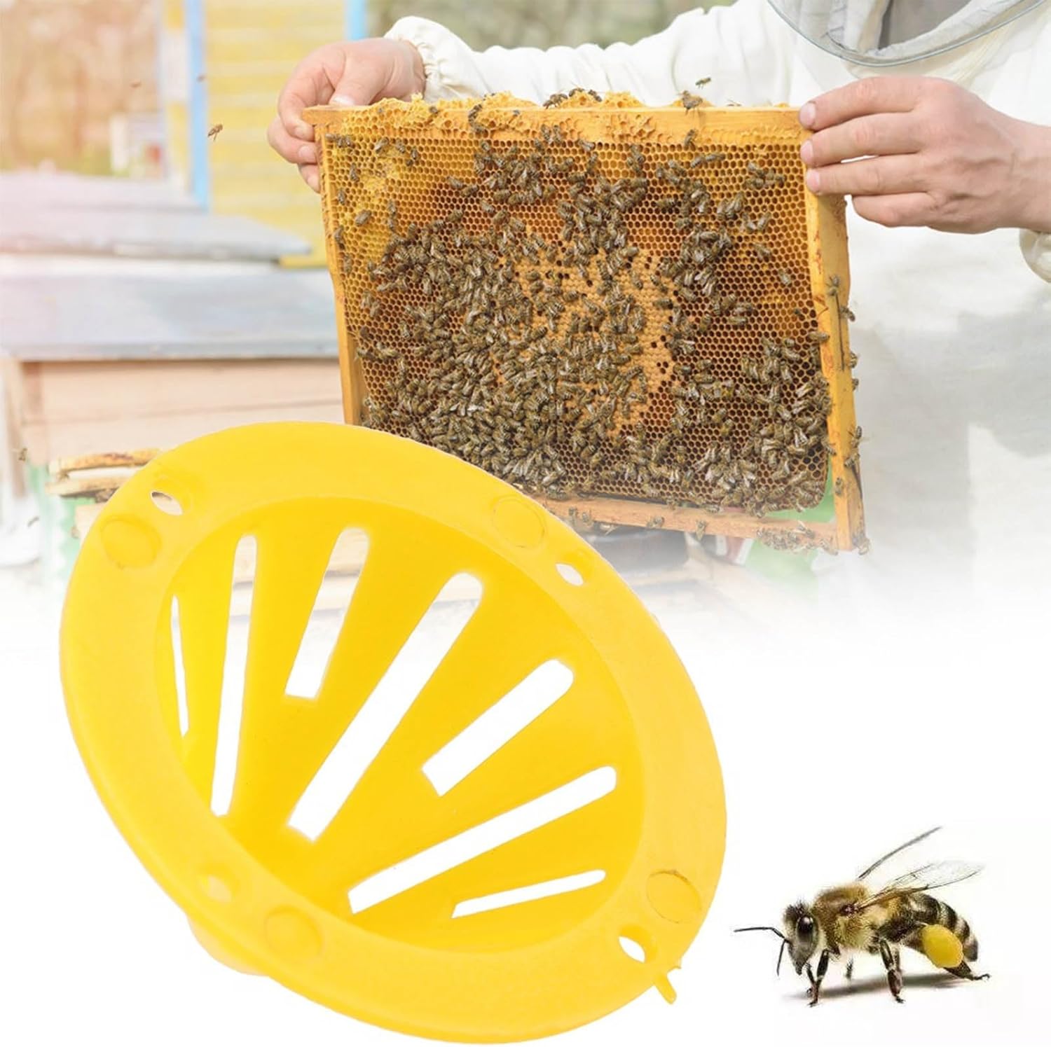 TOPINCN 20 Pcs Beehive Entrance Exit Cone Gate Beekeeping Hive Export Escaper Accessories Tools Plastic Pack Gate Door Hive Beehive Packing Tools