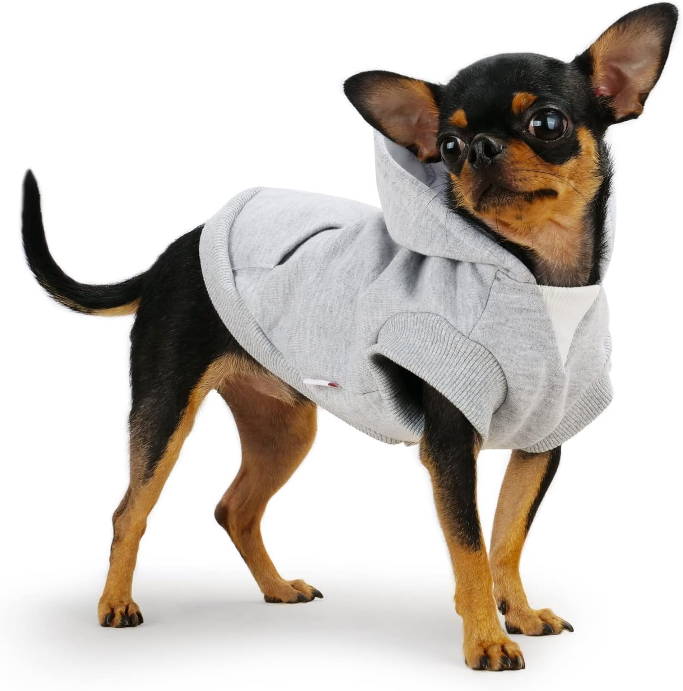 Ropa de Frienperro para perros pequeños, hembra, niño, sudadera con capucha para perro, 100% algodón, ropa de bulldog francés, sudadera de invierno