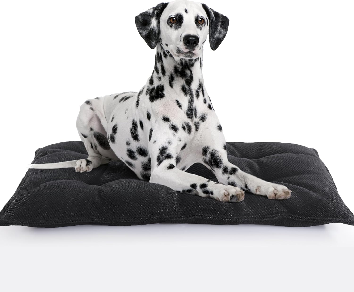 Cama a prueba de mordidas para perros medianos, alfombrilla estable para dentición de cachorros, almohadilla duradera para interiores y exteriores,