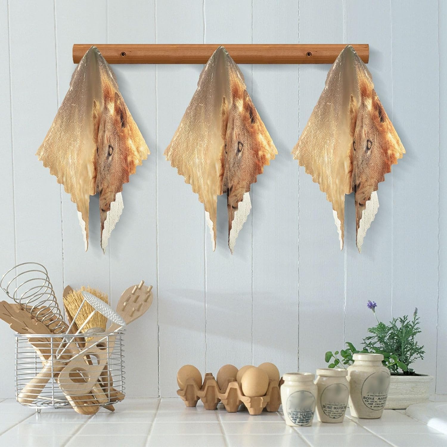 ALAZA South Africa Lion – Juego de 6 paños de cocina, paños de cocina lavables de secado rápido, paño de limpieza reutilizable, 11 x 11 pulgadas