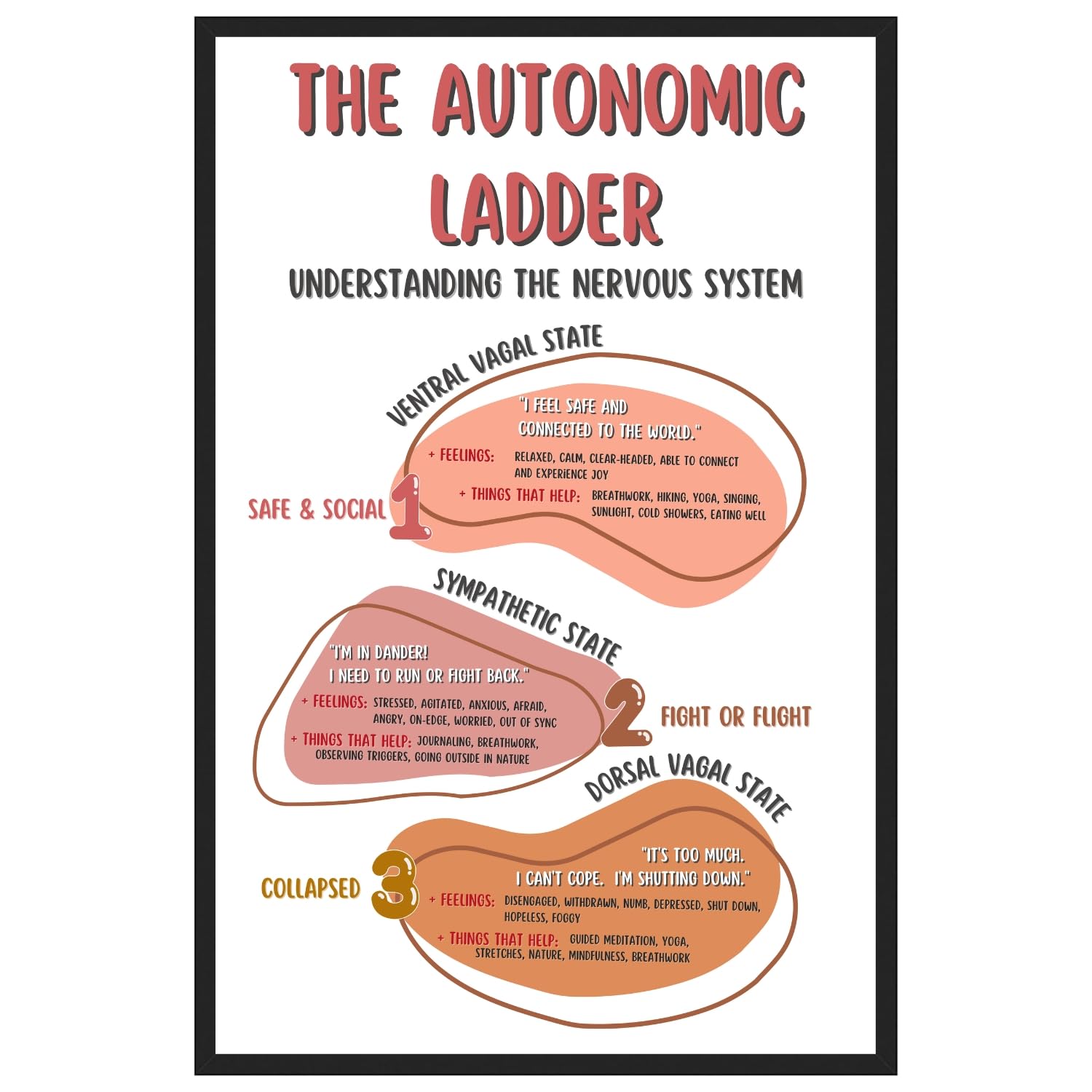 Autonomic Ladder Poster, Boho Mental Health Posters, Counseling Office Printed Wall Decor, Classroom Wall Art – 11×17 in. LAMINATED – No Frame