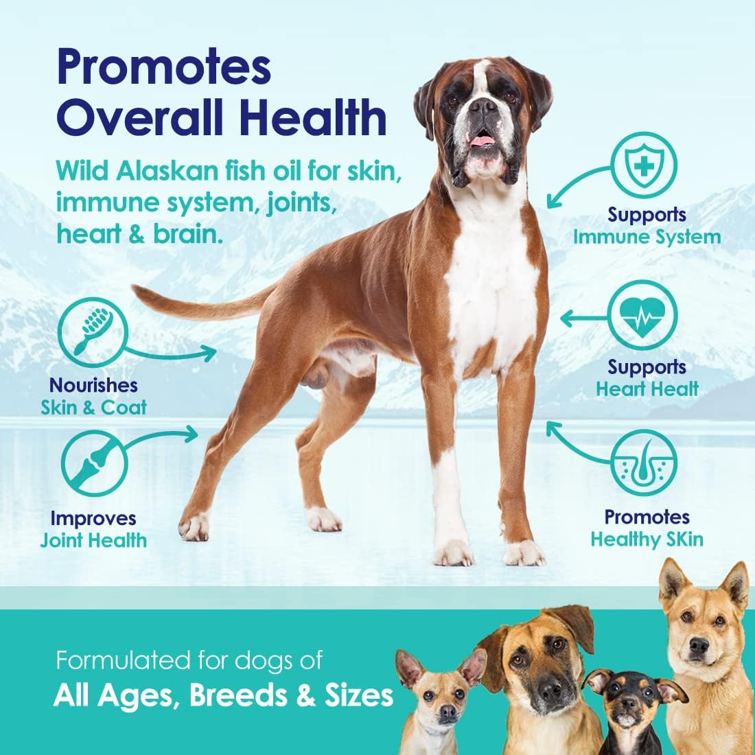 Aceite de salmón puro de Alaska salvaje para perros, suplemento de aceite de pescado Omega 3 para una piel saludable y un pelaje brillante, evita la