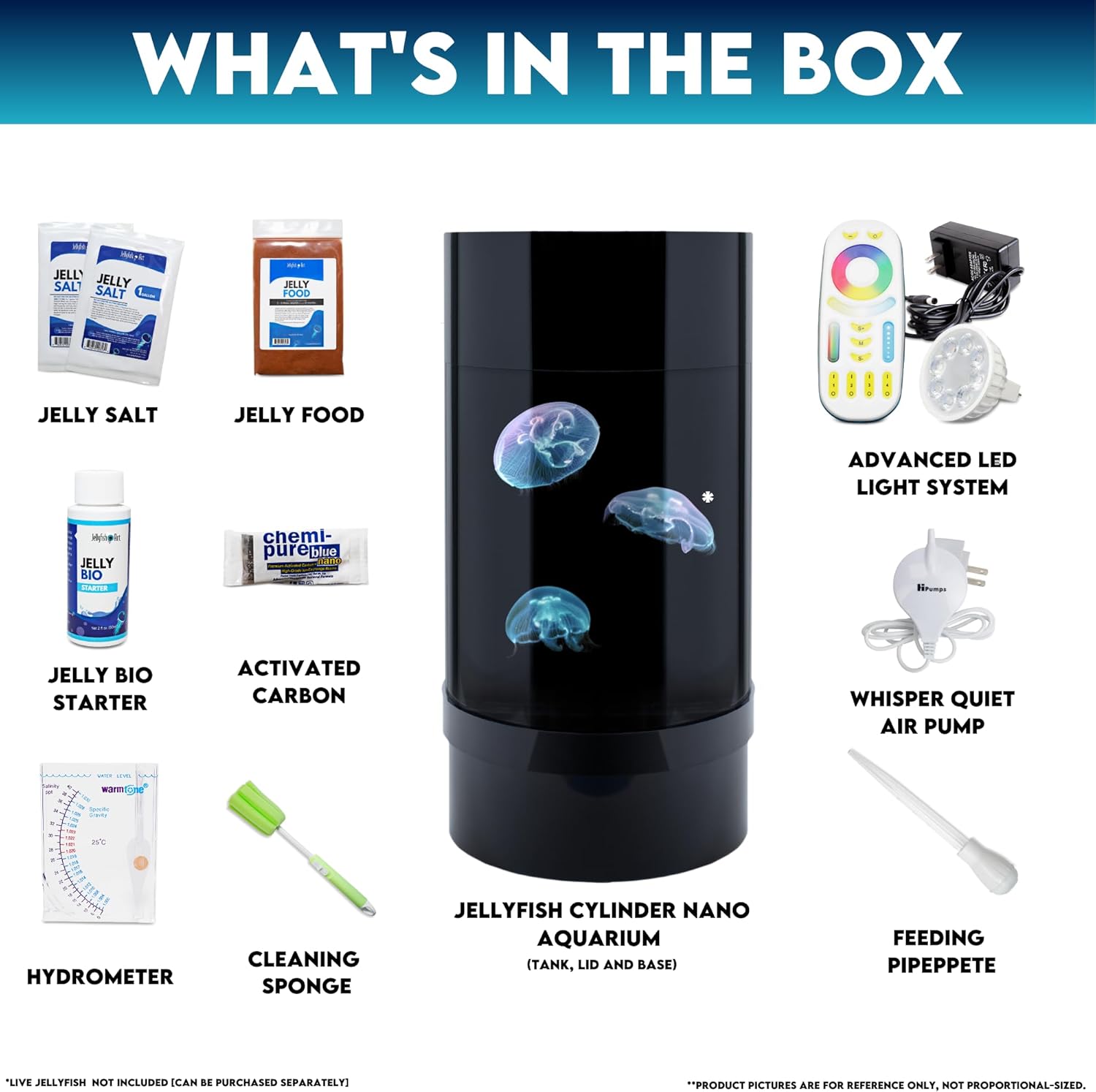 Jellyfish Art Jelly Cylinder Nano Generation 2 (kit solo acuario) – Acuario principiante para medusas vivas
