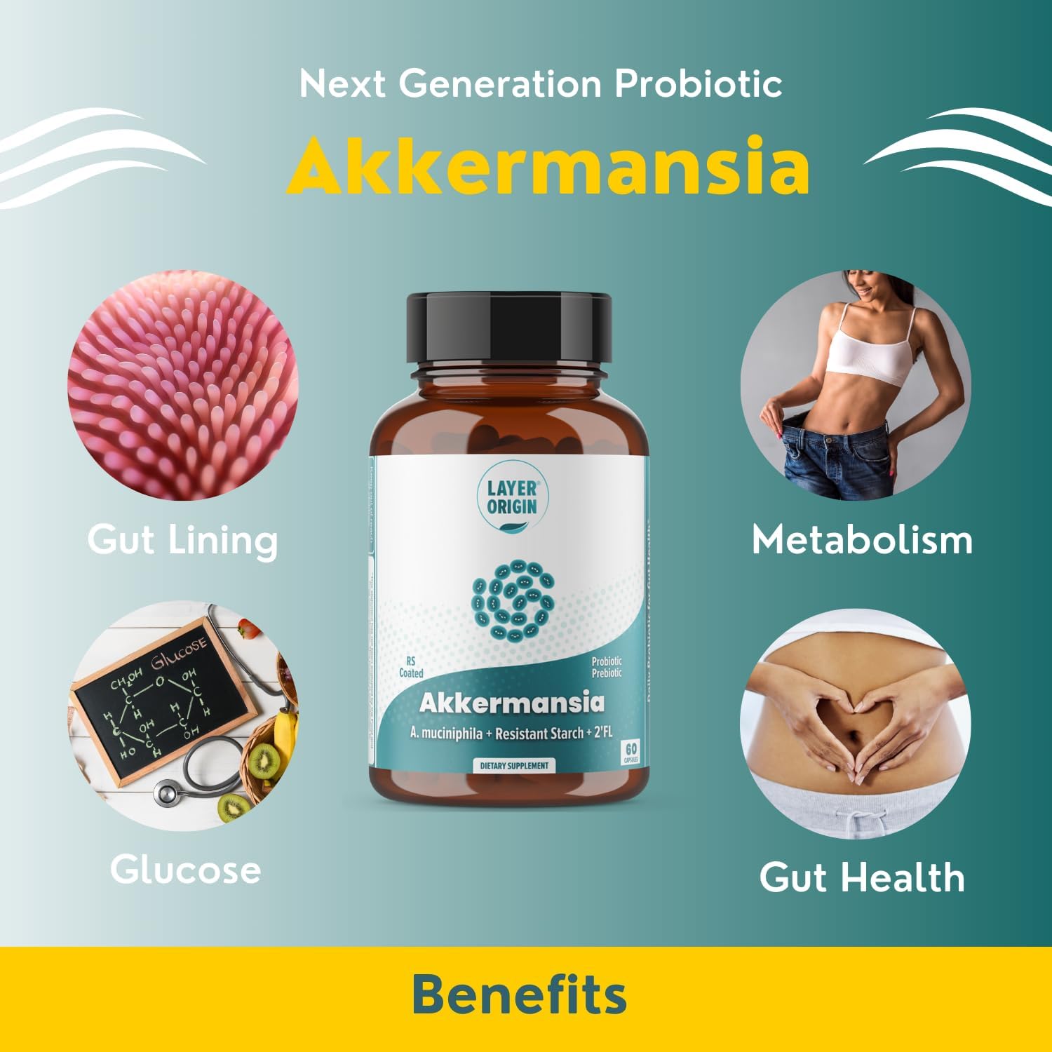 Layer Origin Akkermansia Muciniphila Probiótico con PureHMO Oligosacáridos de leche humana prebiótico para GLP, metabolismo, 60 cápsulas, suministro