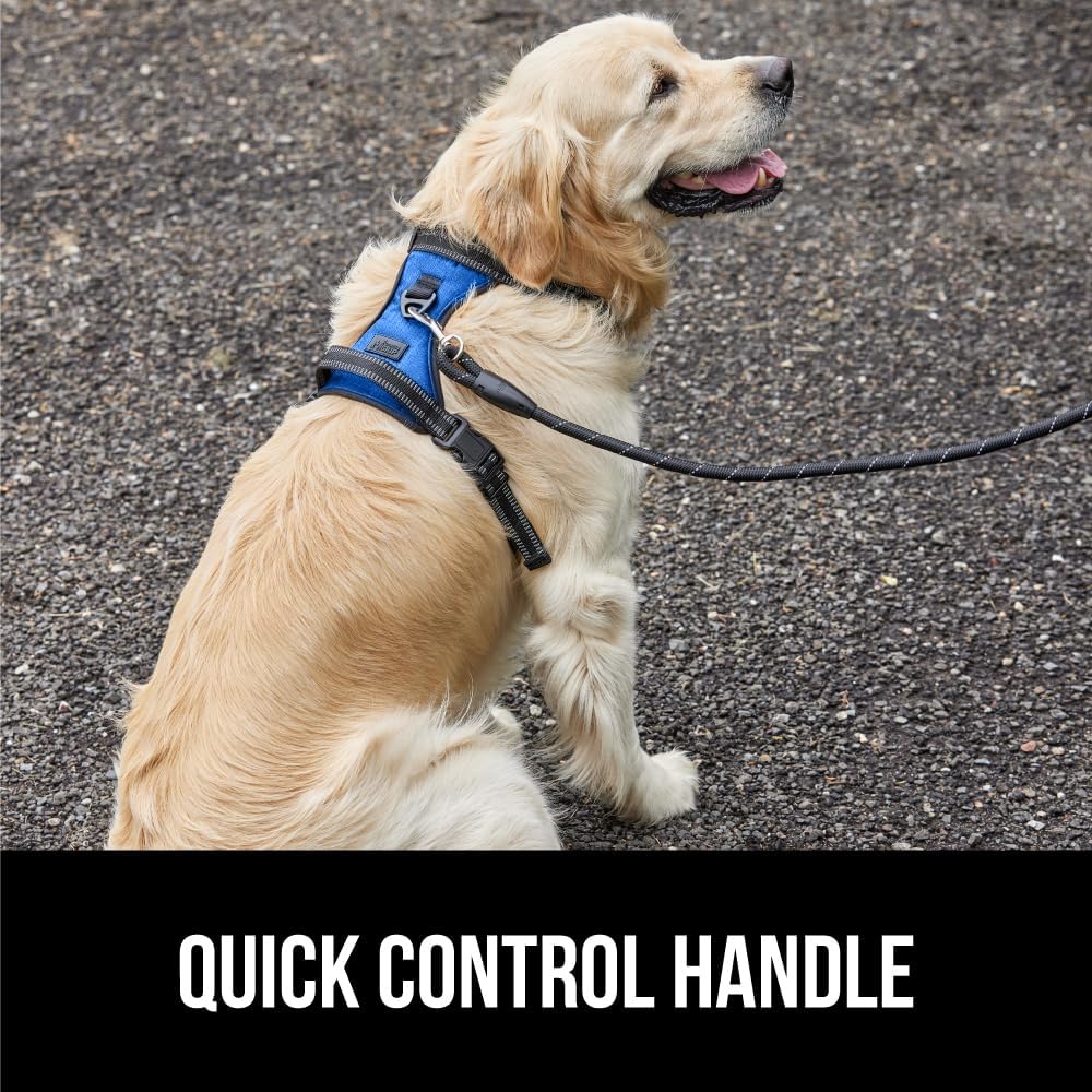 Gorilla Grip Arnés cómodo y duradero sin tirones para perro con asa, clips de correa para mascotas en el pecho o la espalda para caminar, chaleco de