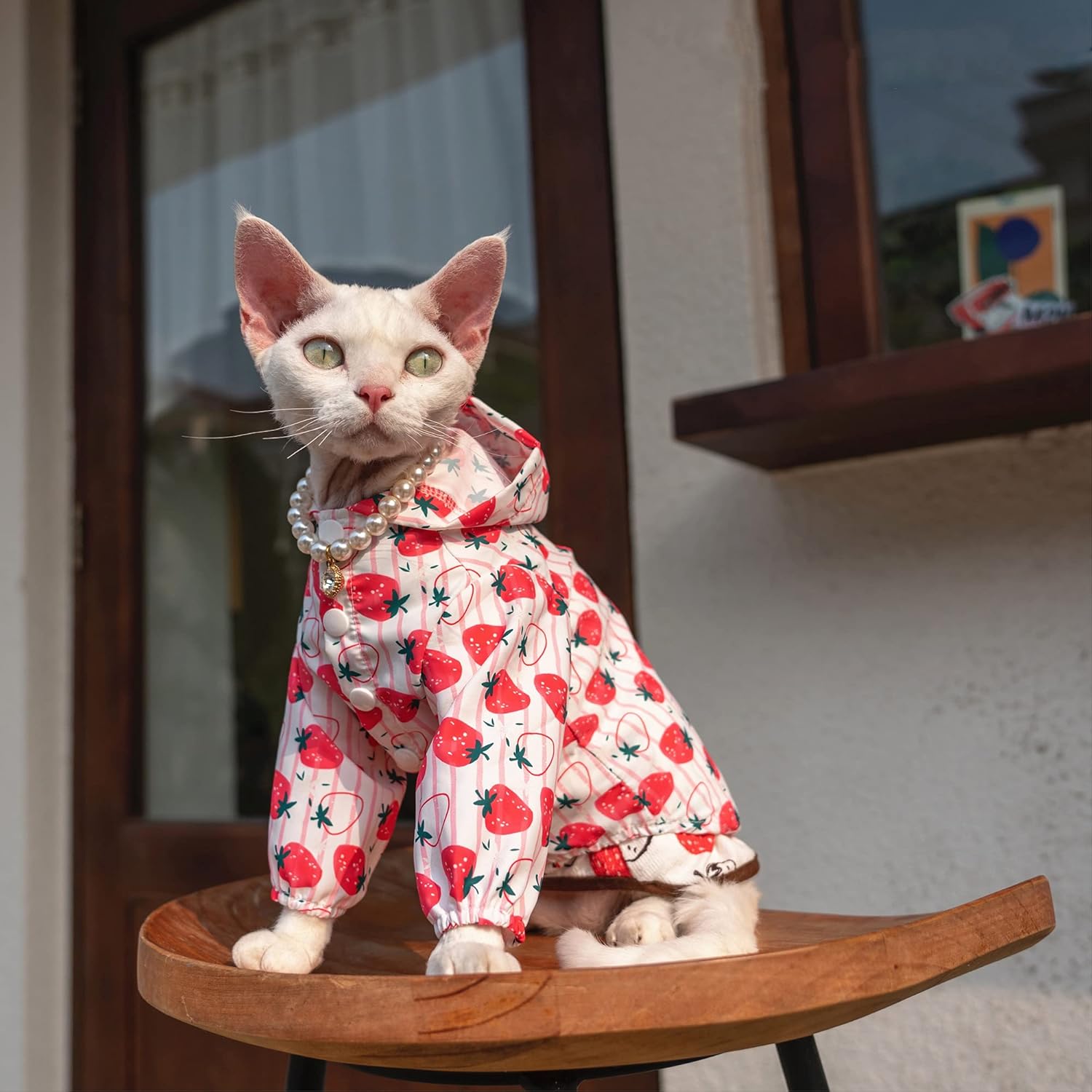 Ropa de verano para gatos sin pelo, ropa de protección solar anti-ultravioleta, chaqueta delgada de manga larga con capucha para Sphynx, Cornish