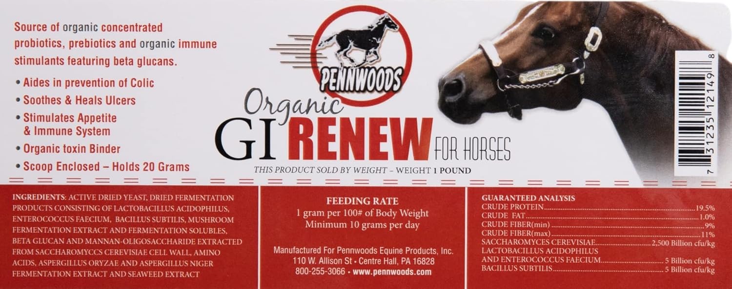 GI Renew, probióticos para estimulación equina, inmune y del apetito, prebióticos, enzimas digestivas  Suplemento para caballos que proporciona
