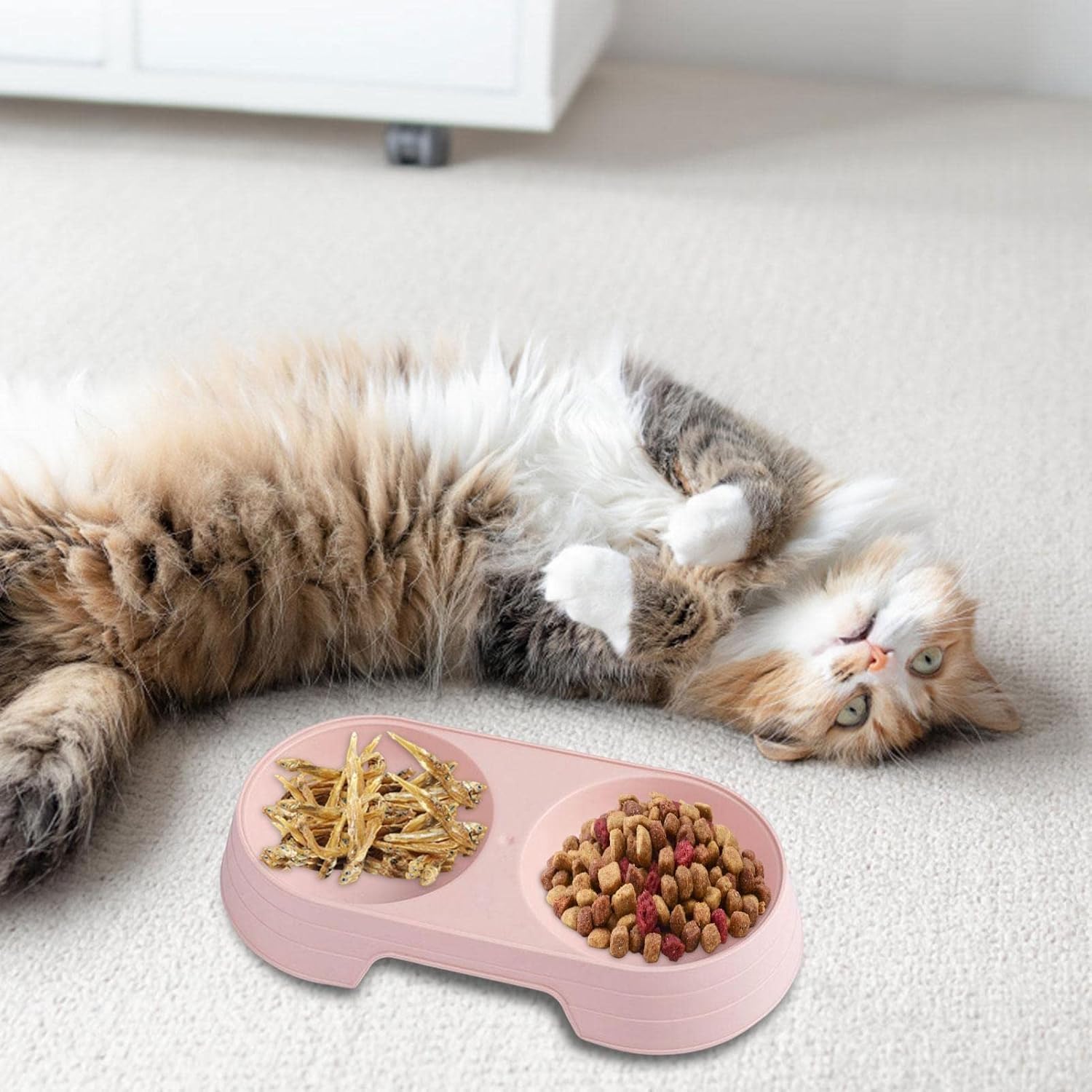 Kumprohu Cuencos de comida para perros  Cuenco doble elevado para gatos, juego de cuencos de comida y agua para cachorros, cuencos para mascotas