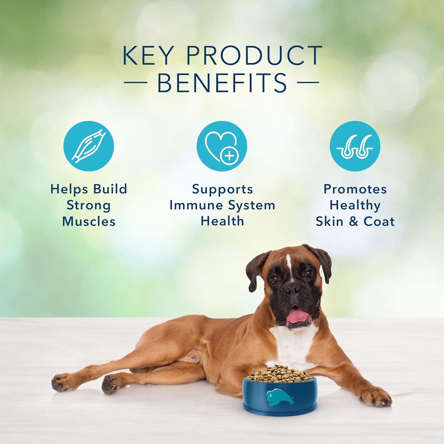 Blue Buffalo Freedom – Alimento seco natural para perros adultos, sin granos, carne de res, 11 libras