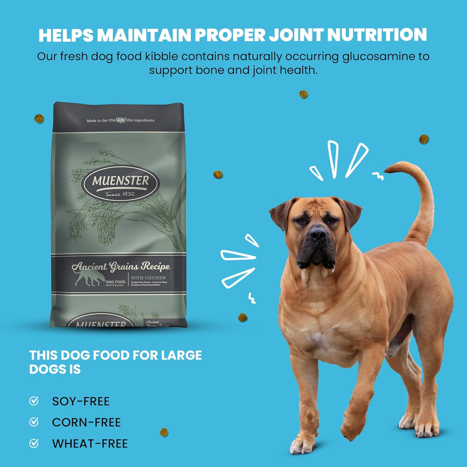 Muenster Ancient Grains – Alimento seco para perros grandes con sabor a pollo (22 libras), sin gluten, sin OMG, con alto contenido de proteínas,