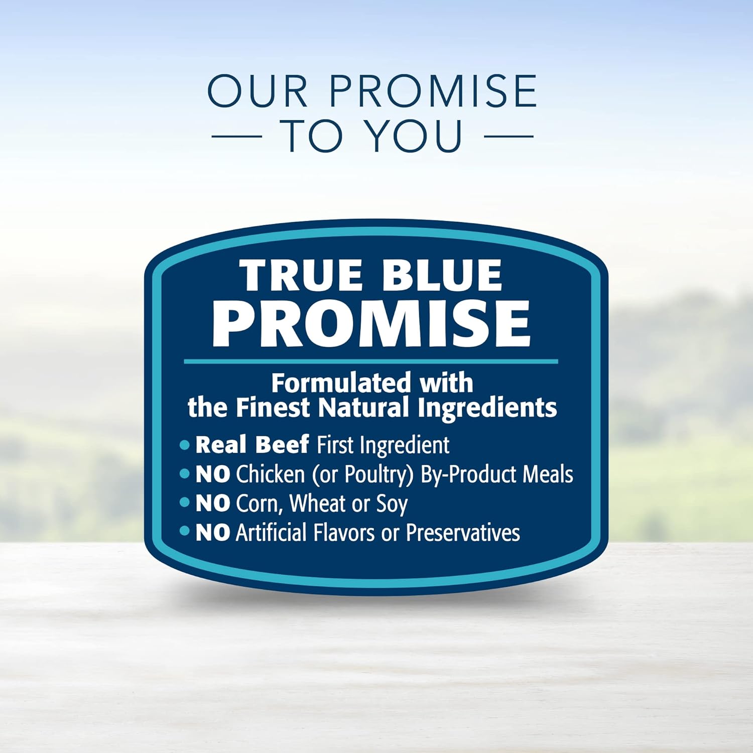 Blue Buffalo Delights – Envases con porciones de 3.5 oz de alimento húmedo natural para perros adultos de raza pequeña, con sabor a filete de res en
