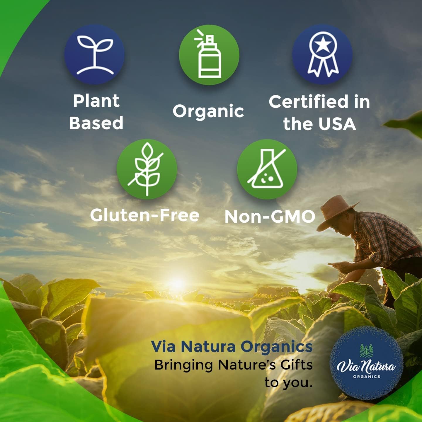 Via Natura Organics Maca Xtra Cápsulas 1000mg  Suplemento de hierbas orgánicas  Fuente natural de aminoácidos hierro y magnesio  60 cápsulas