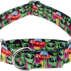 Country Brook Petz – Collar de perro Martingale Space Aliens – Colección Geek Chic con diseños para cualquier mega fan (58 pulgadas, pequeño) Country Brook Petz – Collar de perro Martingale Space Aliens – Colección Geek Chic con diseños para cualquier mega fan (58 pulgadas, pequeño)