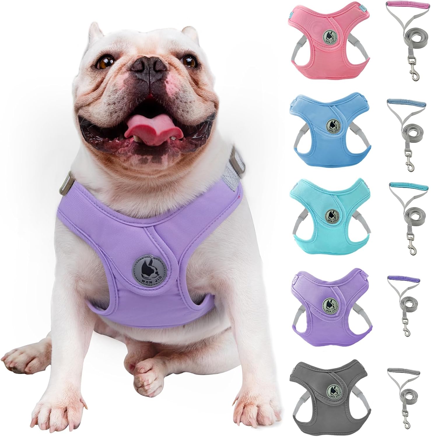Arnés para perro con correa, arnés sin tirones para mascota con 1 clips para correa, chaleco acolchado suave ajustable para perros pequeños y