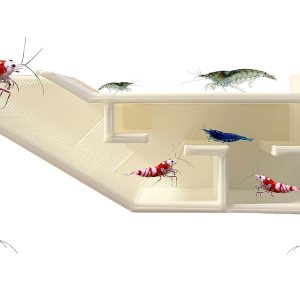 3DAquaticSolutions Túnel de fiesta de camarones de acuario, incluye exquisita habitación VIP y dos entradas, cueva de túnel para camarones y peces 3DAquaticSolutions Túnel de fiesta de camarones de acuario, incluye exquisita habitación VIP y dos entradas, cueva de túnel para camarones y peces