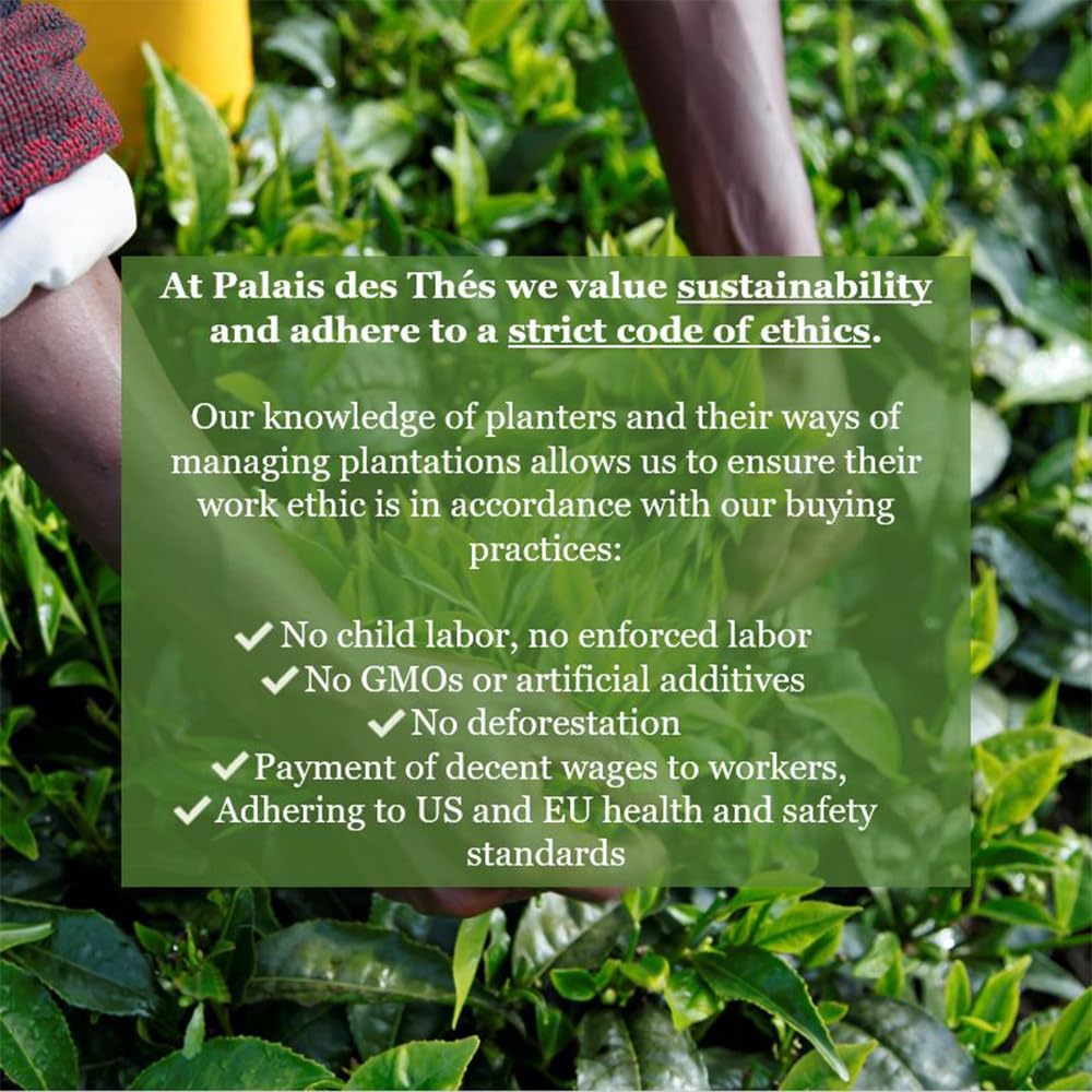 Palais des Thés – Té de Nochevieja N31- Té verde gourmet premium con rosa dulce y saúco – Lata de regalo de metal de hoja suelta de 3.5 oz