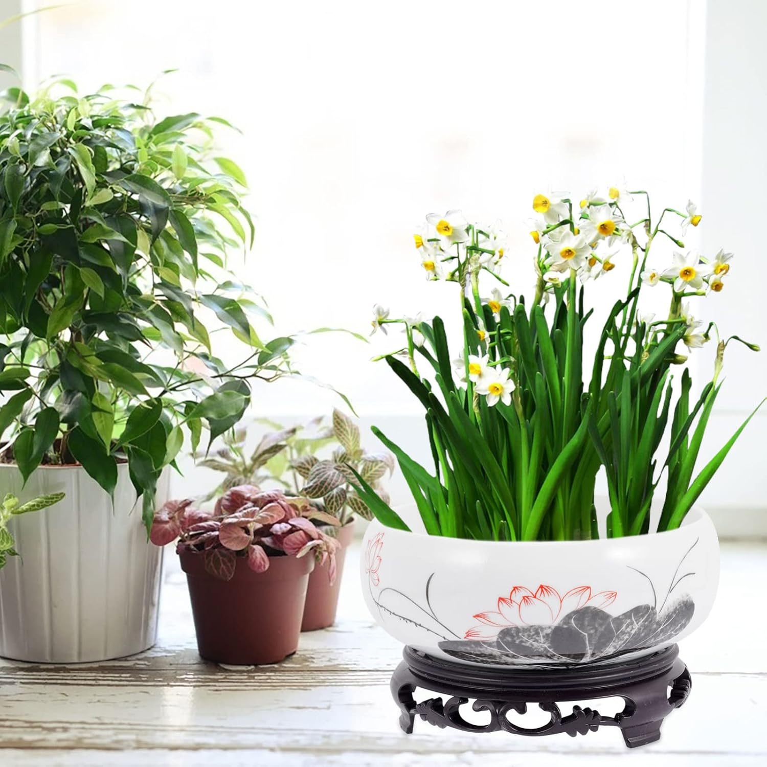 Veemoon Cerámica Water Lily Bowl Narciso Nautance Moneda de cobre Hierba Maceta con soporte Lotus Contenedor hidropónico Narciso Bonsái Maceta para