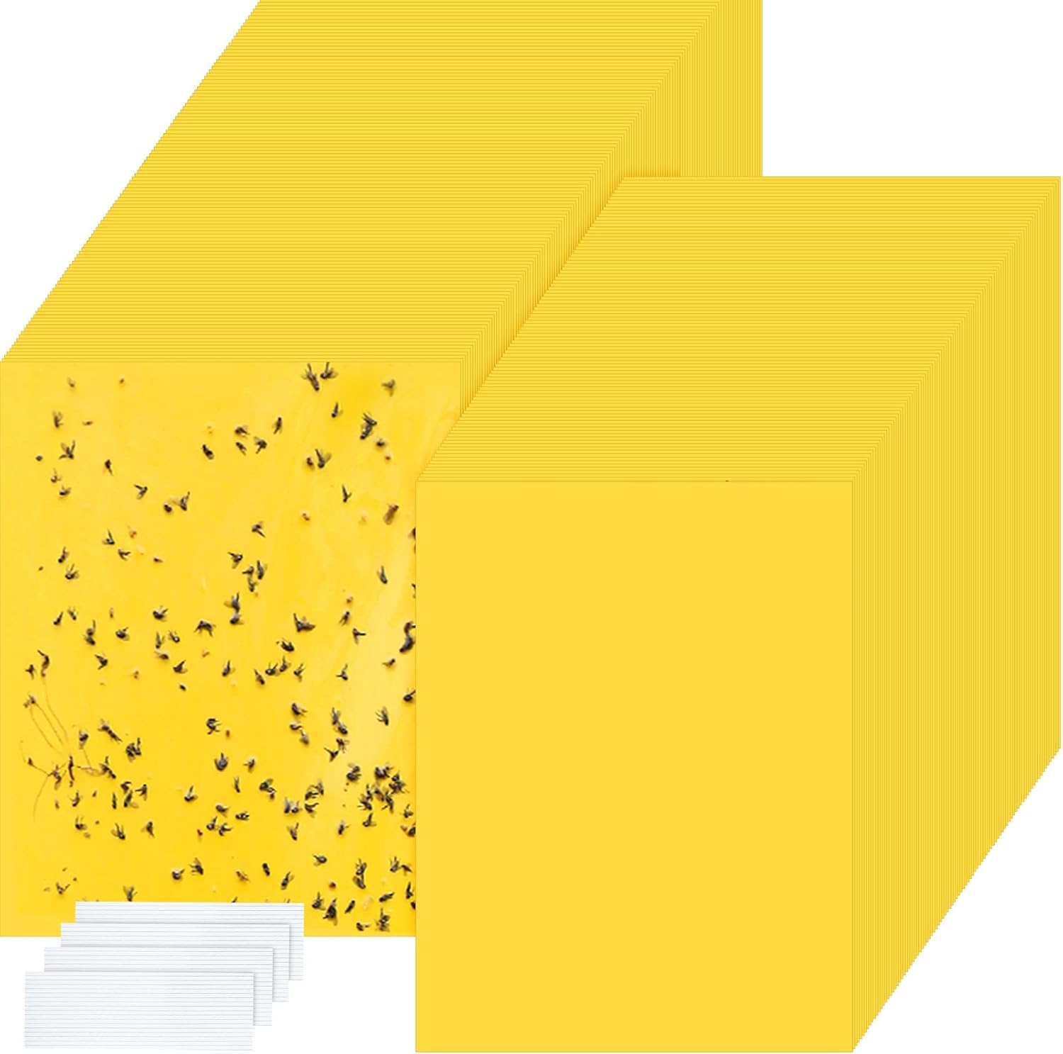 500 trampas adhesivas de doble cara para plantas voladoras, insectos como moscas blancas, pulgones, 6 x 8 pulgadas, trampas adhesivas para mosquitos