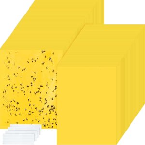 500 trampas adhesivas de doble cara para plantas voladoras, insectos como moscas blancas, pulgones, 6 x 8 pulgadas, trampas adhesivas para mosquitos 500 trampas adhesivas de doble cara para plantas voladoras, insectos como moscas blancas, pulgones, 6 x 8 pulgadas, trampas adhesivas para mosquitos