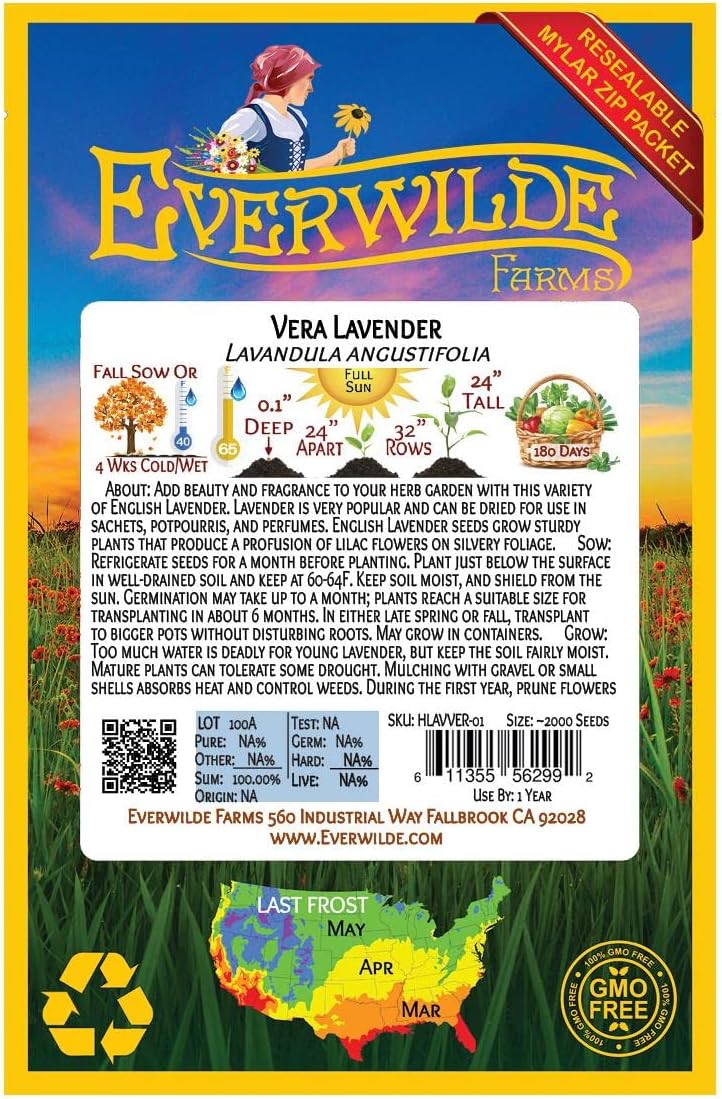 Everwilde Farms – 2000 semillas de hierbas de lavanda Vera – Paquete de semillas jumbo Gold Vault