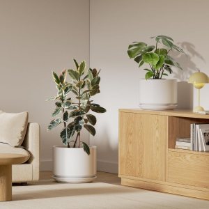 LE TAUCI Macetas de cerámica, macetas de 10 + 12 pulgadas para plantas, macetas de interior para el hogar y la oficina, macetas modernas para LE TAUCI Macetas de cerámica, macetas de 10 + 12 pulgadas para plantas, macetas de interior para el hogar y la oficina, macetas modernas para