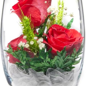 In Flores Veritas Rosas conservadas recién cortadas en un jarrón de vidrio sellado, ramo de larga duración que se mantiene fresco durante más de 5 In Flores Veritas Rosas conservadas recién cortadas en un jarrón de vidrio sellado, ramo de larga duración que se mantiene fresco durante más de 5