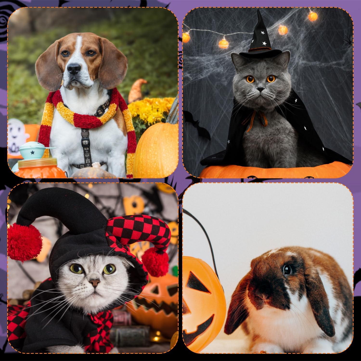 Alas de murciélago para perro de Halloween, lindo disfraz de perro, alas de murciélago para Halloween, collar de perro, alas de murciélago con
