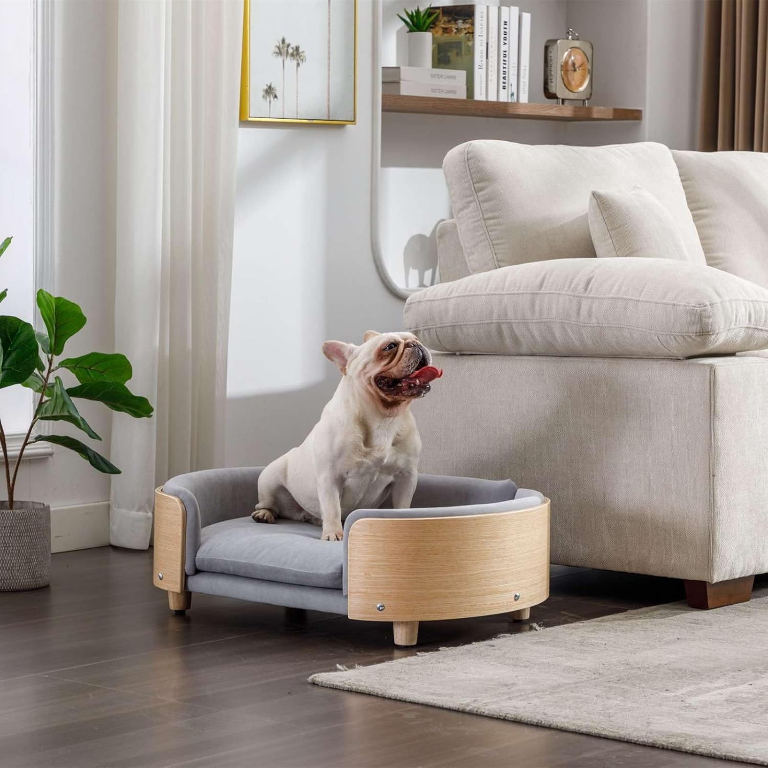 Cama de terciopelo para perro, sofá para mascotas con patas de madera maciza y respaldo de madera doblada, cojín resistente a las manchas en varios