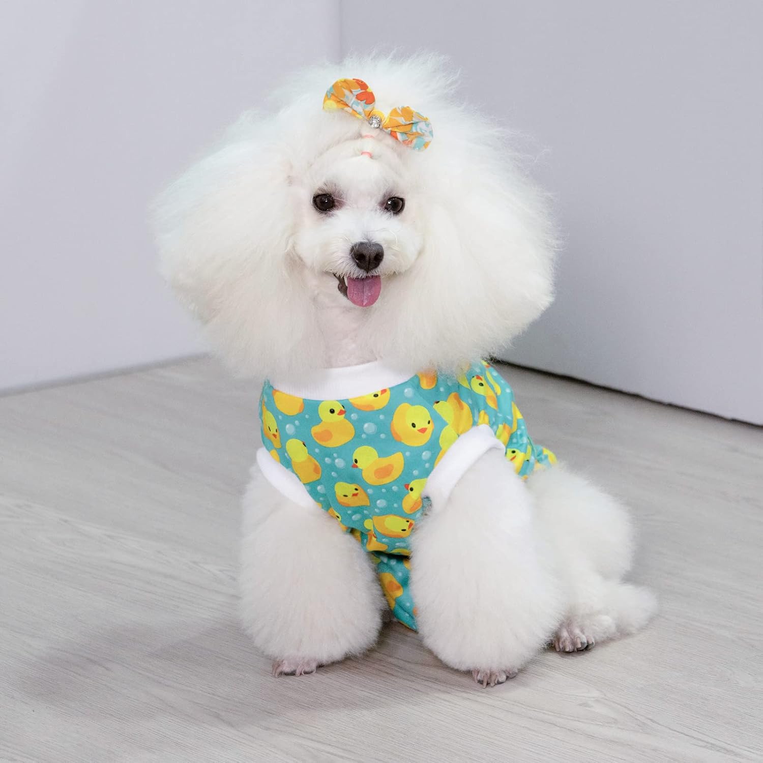 CuteBone Traje de recuperación de cirugía para perros, enterizo quirúrgico para gatos, trajes de cuerpo femenino, trajes de cuerpo masculino para