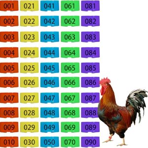 100 bandas para patas de pollo, 5 colores para pato, ganso, paloma, aves medianas, gestión de identificación de aves de corral (0.62 pulgadas de 100 bandas para patas de pollo, 5 colores para pato, ganso, paloma, aves medianas, gestión de identificación de aves de corral (0.62 pulgadas de
