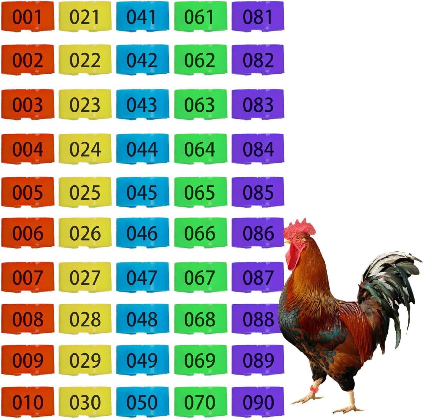 100 bandas para patas de pollo, 5 colores para pato, ganso, paloma, aves medianas, gestión de identificación de aves de corral (0.62 pulgadas de