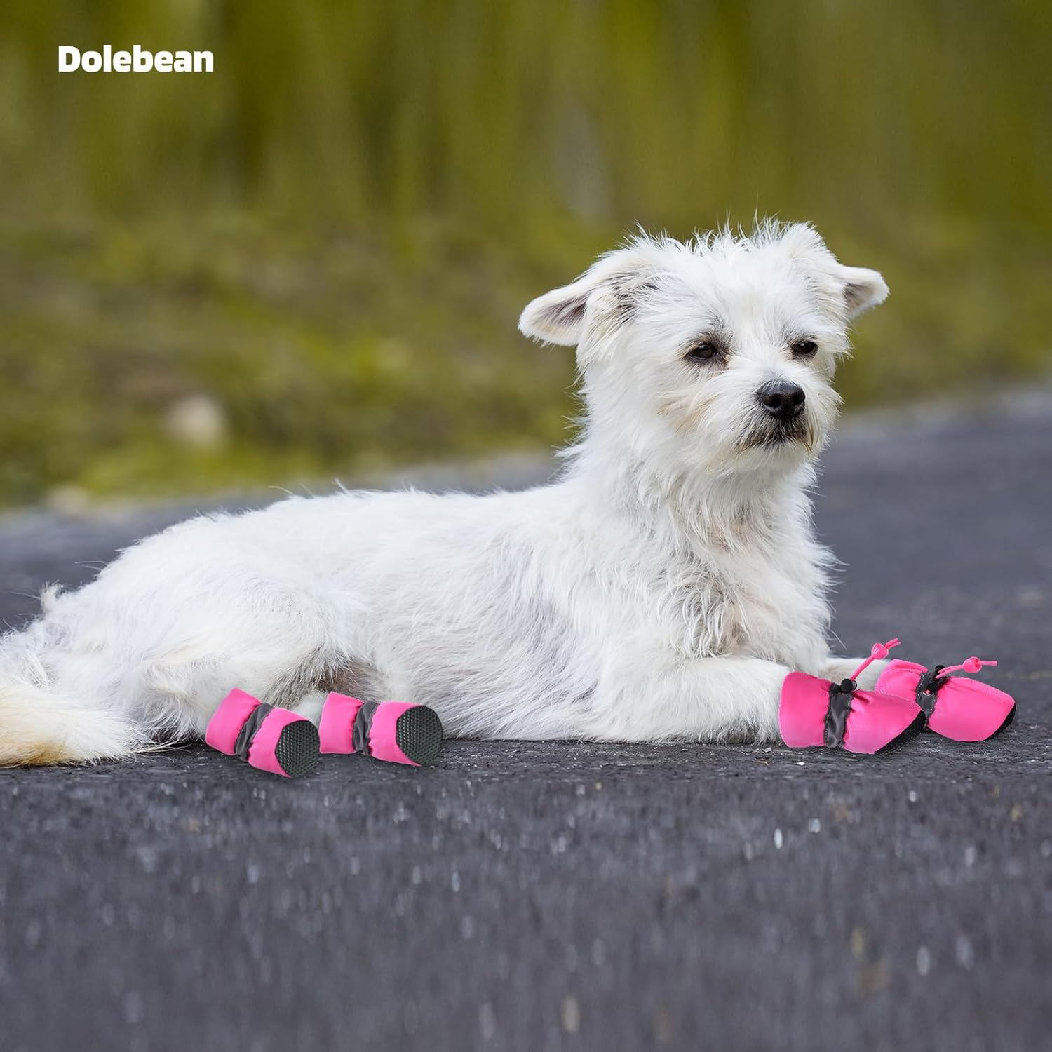 Zapatos para perros pequeños y medianos y protectores de patas de cachorros, botines para perros para botas de pavimento caliente, antideslizantes,