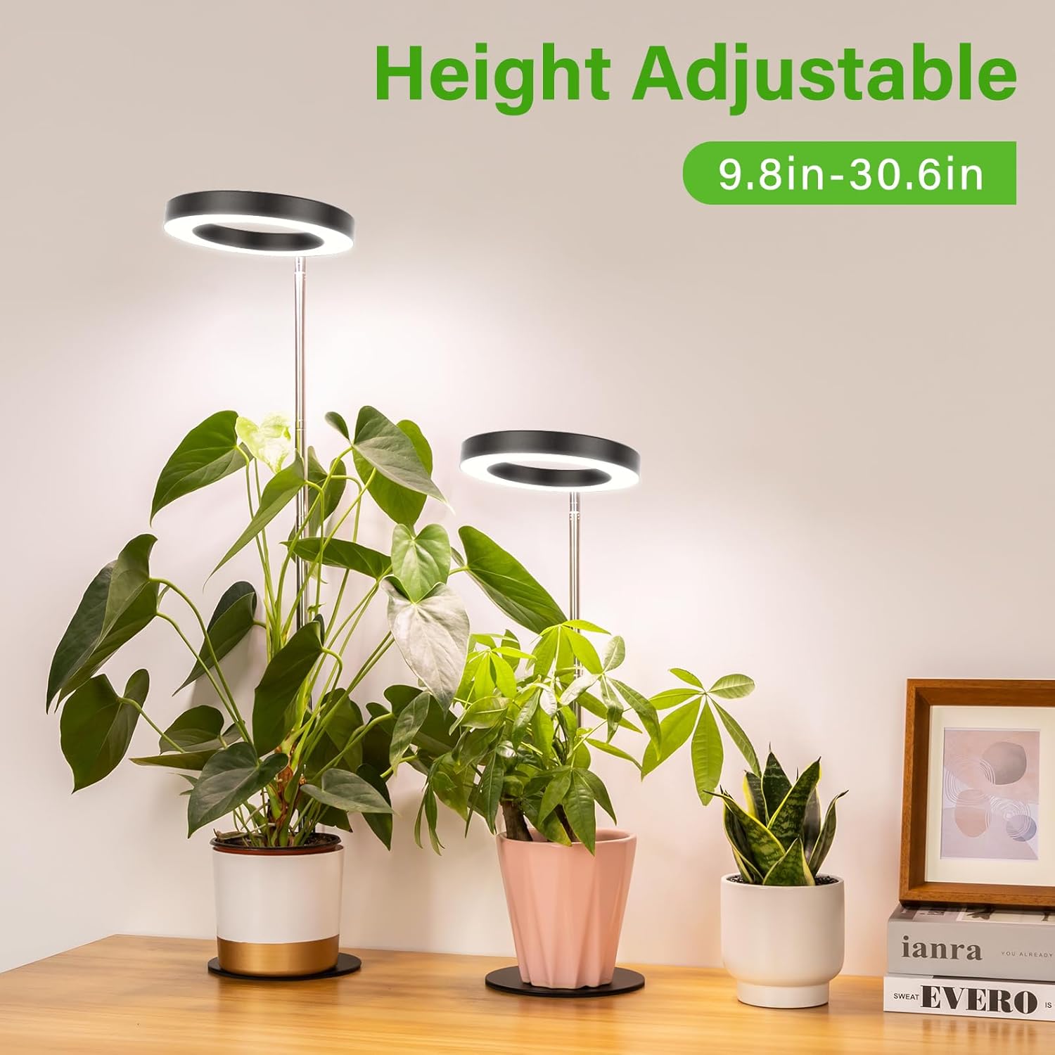 LORDEM Luz de crecimiento, luz LED para plantas de interior, lámpara de crecimiento de escritorio de espectro completo con temporizador automático
