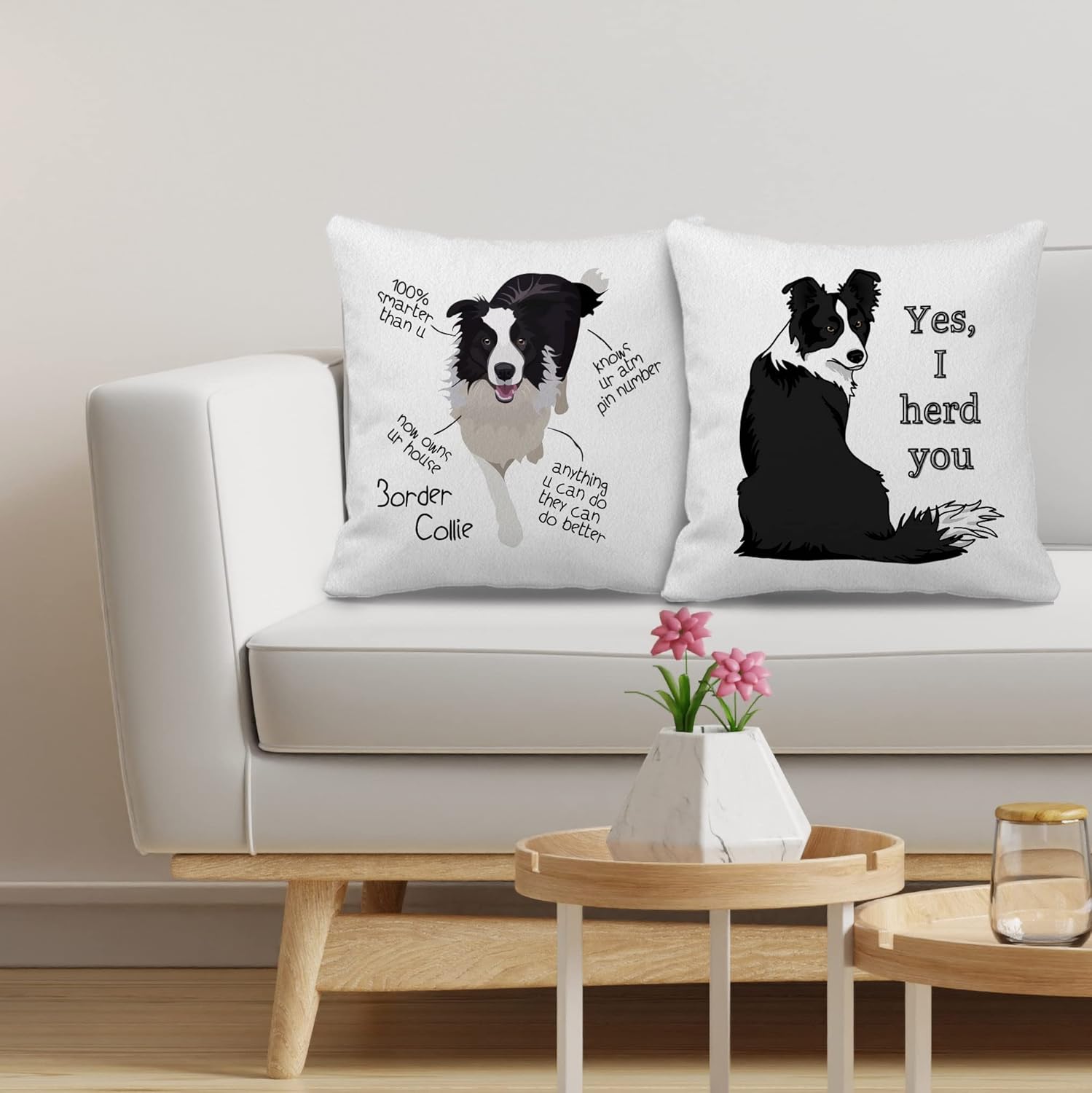 Border Collie – Juego de 2 fundas de almohada de 18 x 18 pulgadas, decoración de perro Border Collie para el hogar, dormitorio, sala de estar,