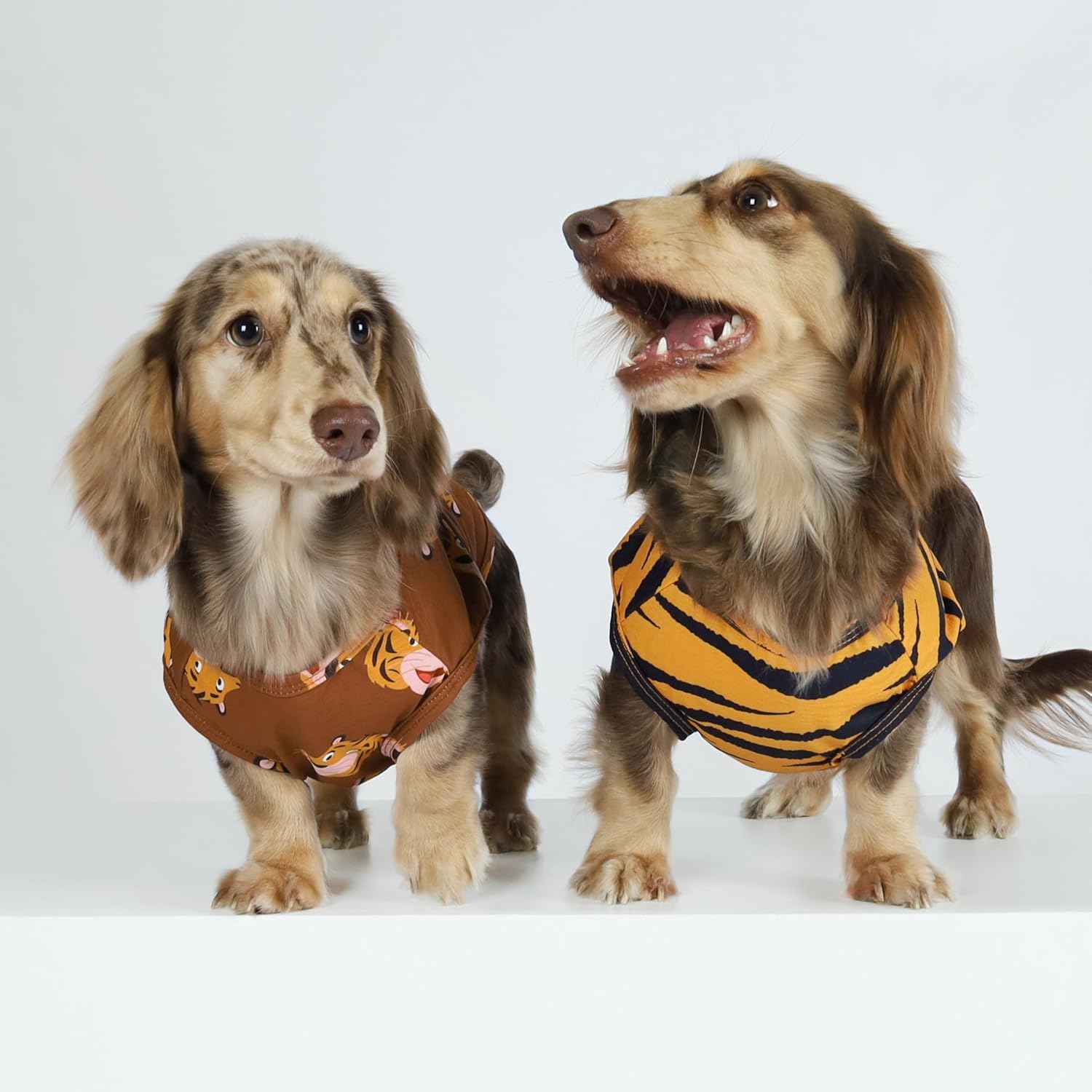 Fitwarm Paquete de 4 camisas de perro de tigre, ropa de verano para perros pequeños, niños y niñas, camiseta divertida para perro, atuendo para
