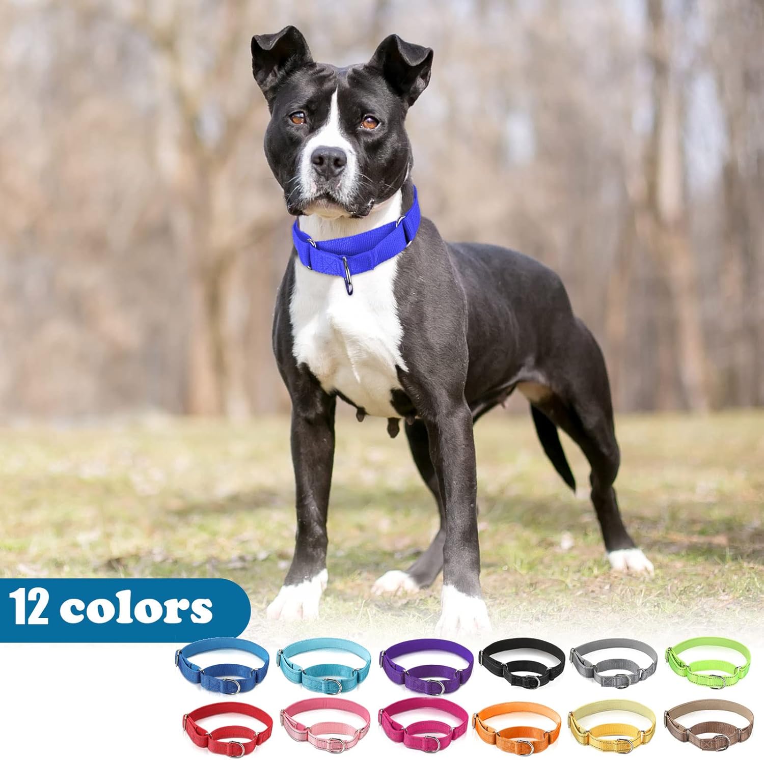 Cunno 12 collares de Martingala para perros medianos, collar reflectante con hebilla de metal duradera, collar ajustable de nailon para mascotas que