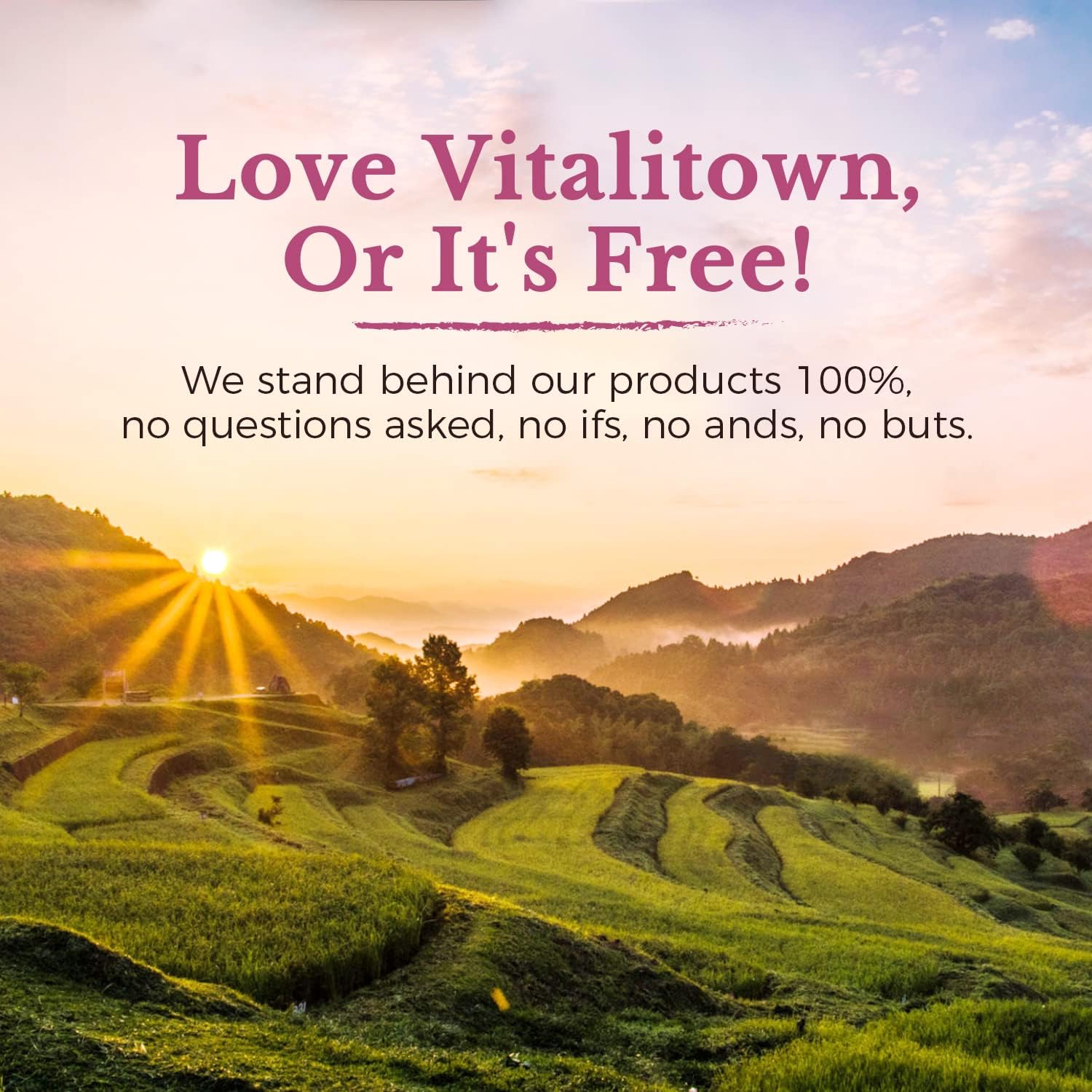 VITALITOWN Probióticos para mujeres 120 mil millones de UFC 1 diario, 30 cepas, con prebióticos y enzimas digestivas y arándano, salud intestinal y