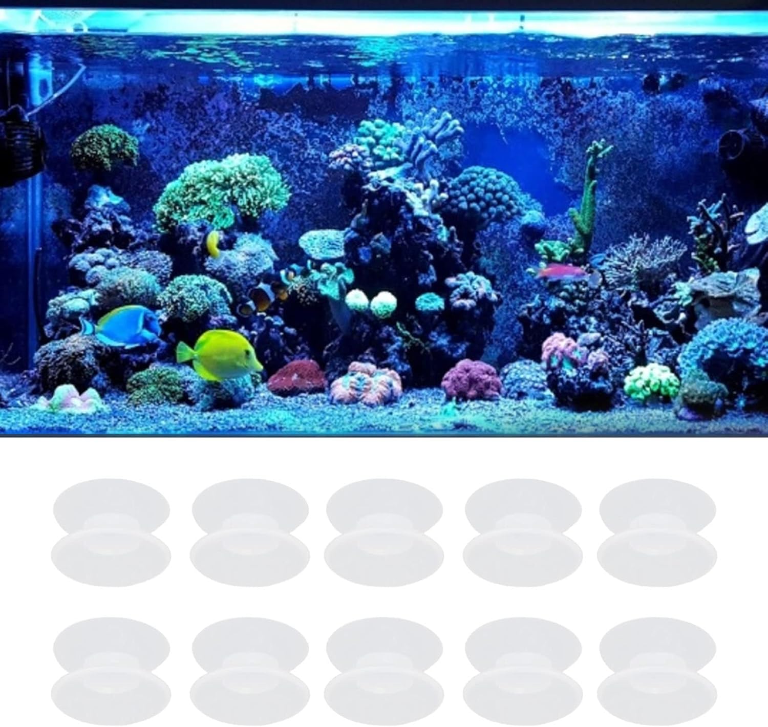 Fydun 10pcs Silicone Double Sided Suction Cupor Glasishrium