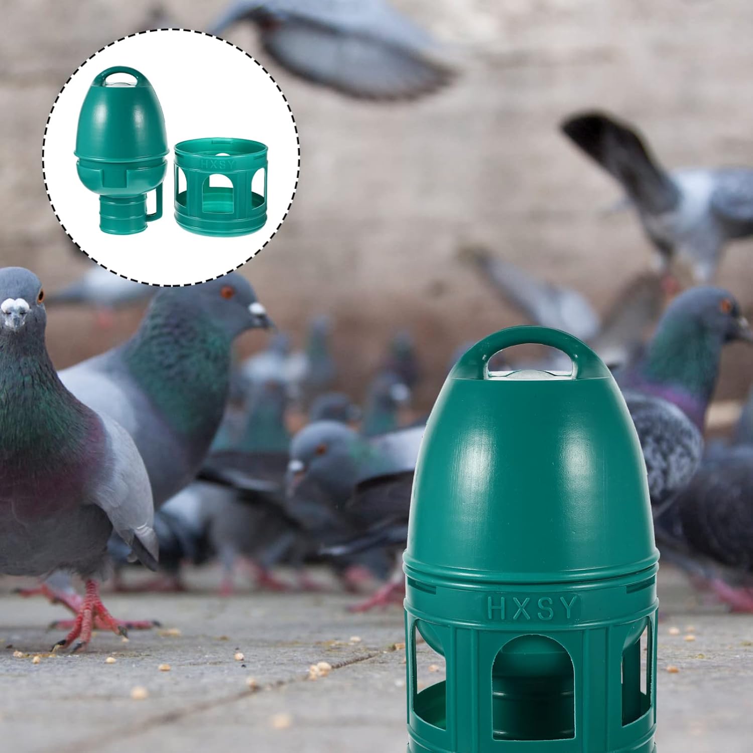 Alipis Dispensador de agua de paloma, tazas de agua de pollo, bebedor de agua para pájaros, bebedero de codornices de plástico, alimentadores