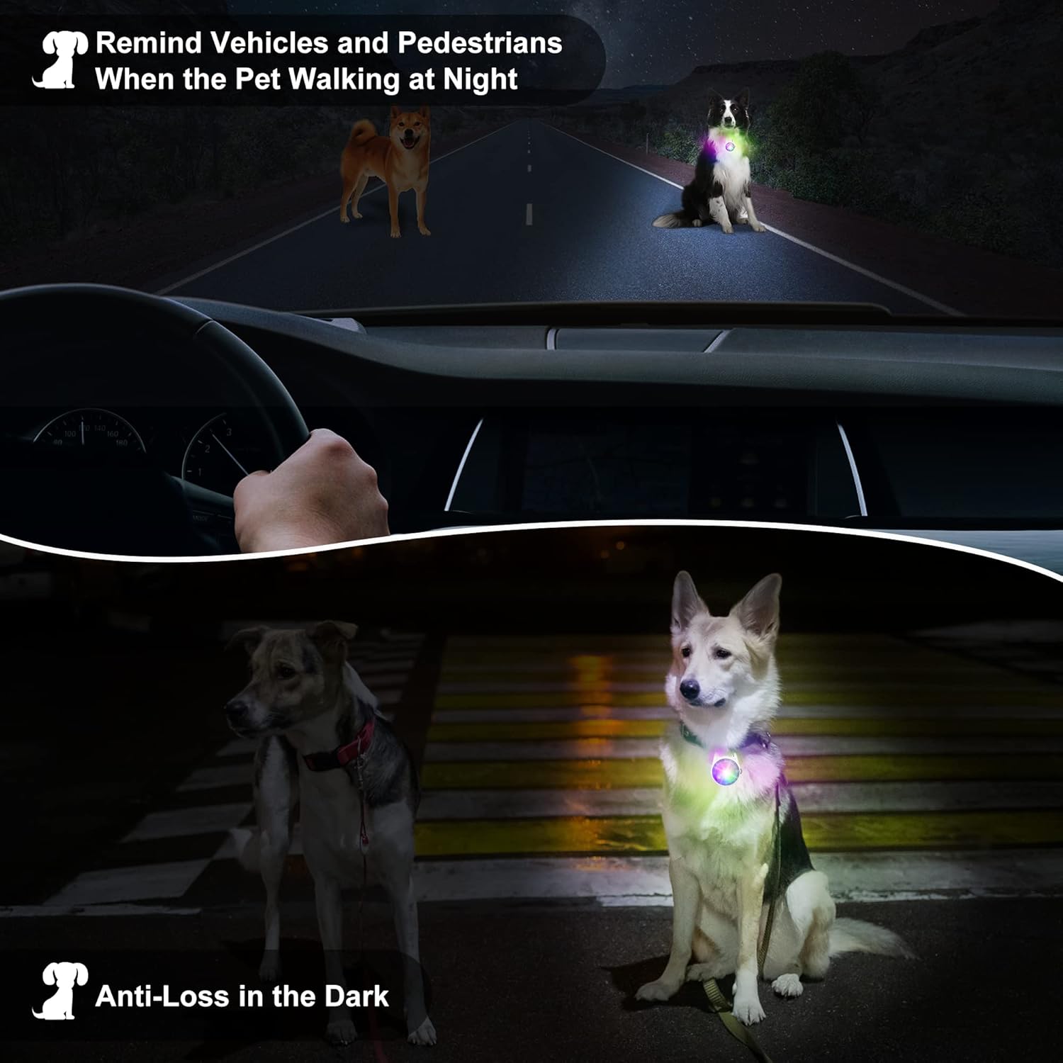 Luz para collar de perro, 4 modos de luces de perro para caminar por la noche, luz de perro que cambia de color RGB, luces recargables para collar